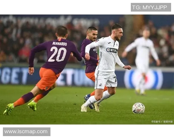 斯旺西与伯明翰足球历史交锋回顾与战绩分析